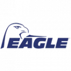Door Openers and More stocks a full lineup of Eagle remote controls